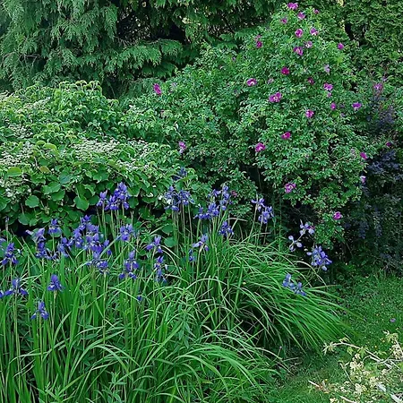 펜션 6 Person In *