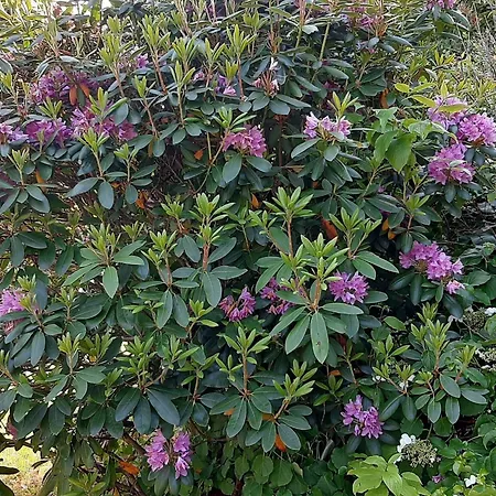 6 Person In Casa de Férias Lyngdal